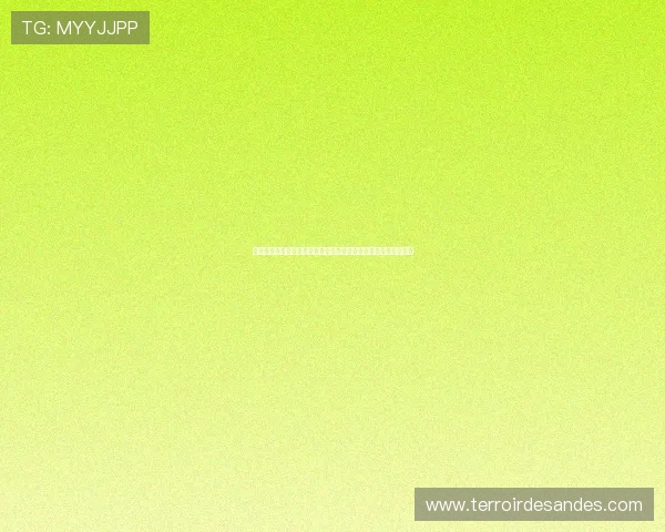 新利网络娱乐在世界杯期间的体育新闻报道现状与用户关注点分析 新利网络娱乐在世界杯期间的体育新闻报道现状与用户关注点分析